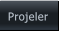 Projeler Projeler